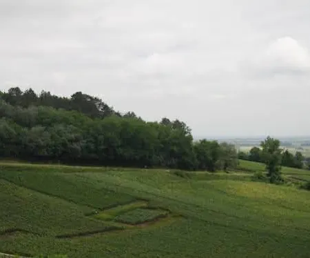 게스트하우스 Domaine Des Grattieres